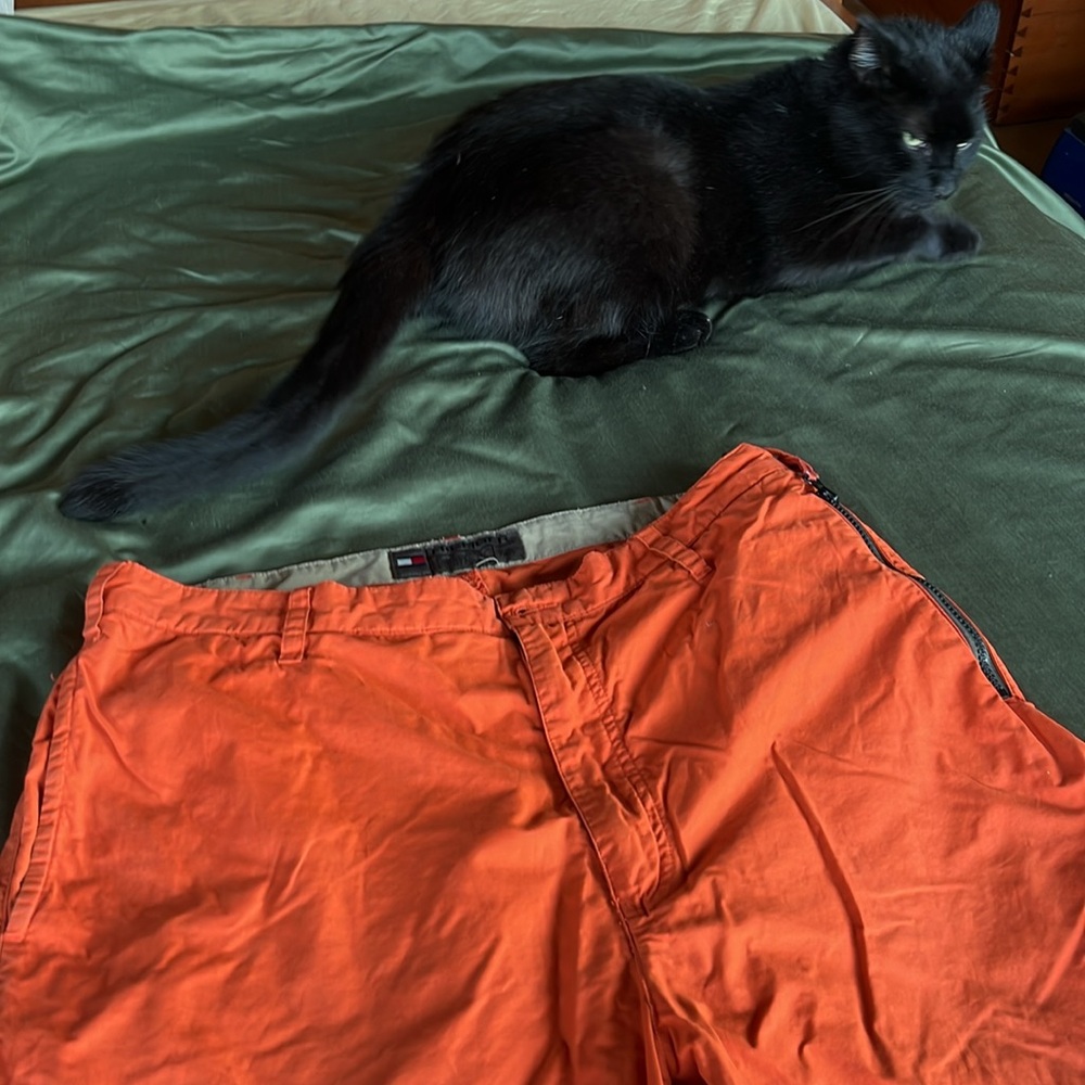Track pants - Picture 2 of 4